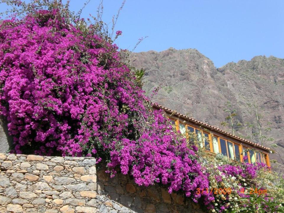 Pedracin Village 3*